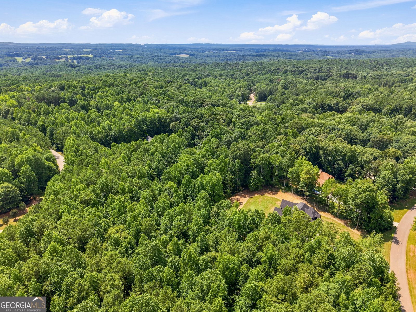 187 Trilium Trail Pendergrass - Photo 75