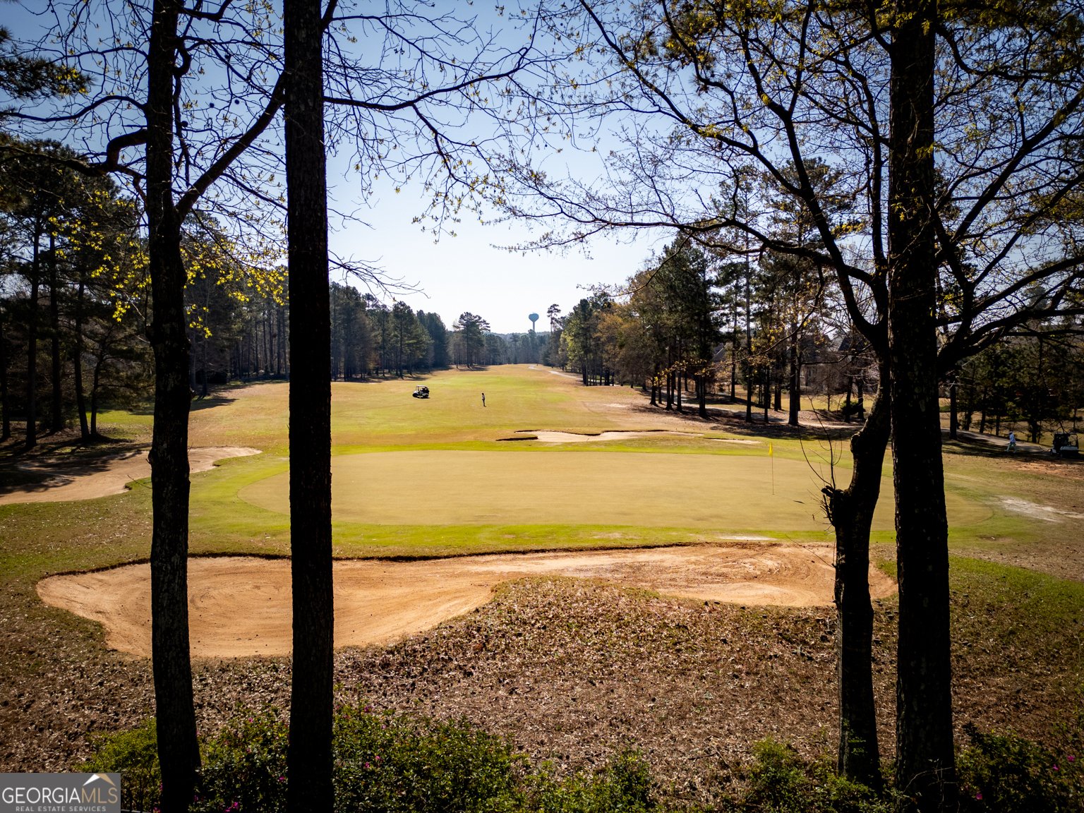 6048 Golf View Crossing Locust Grove - Photo 8
