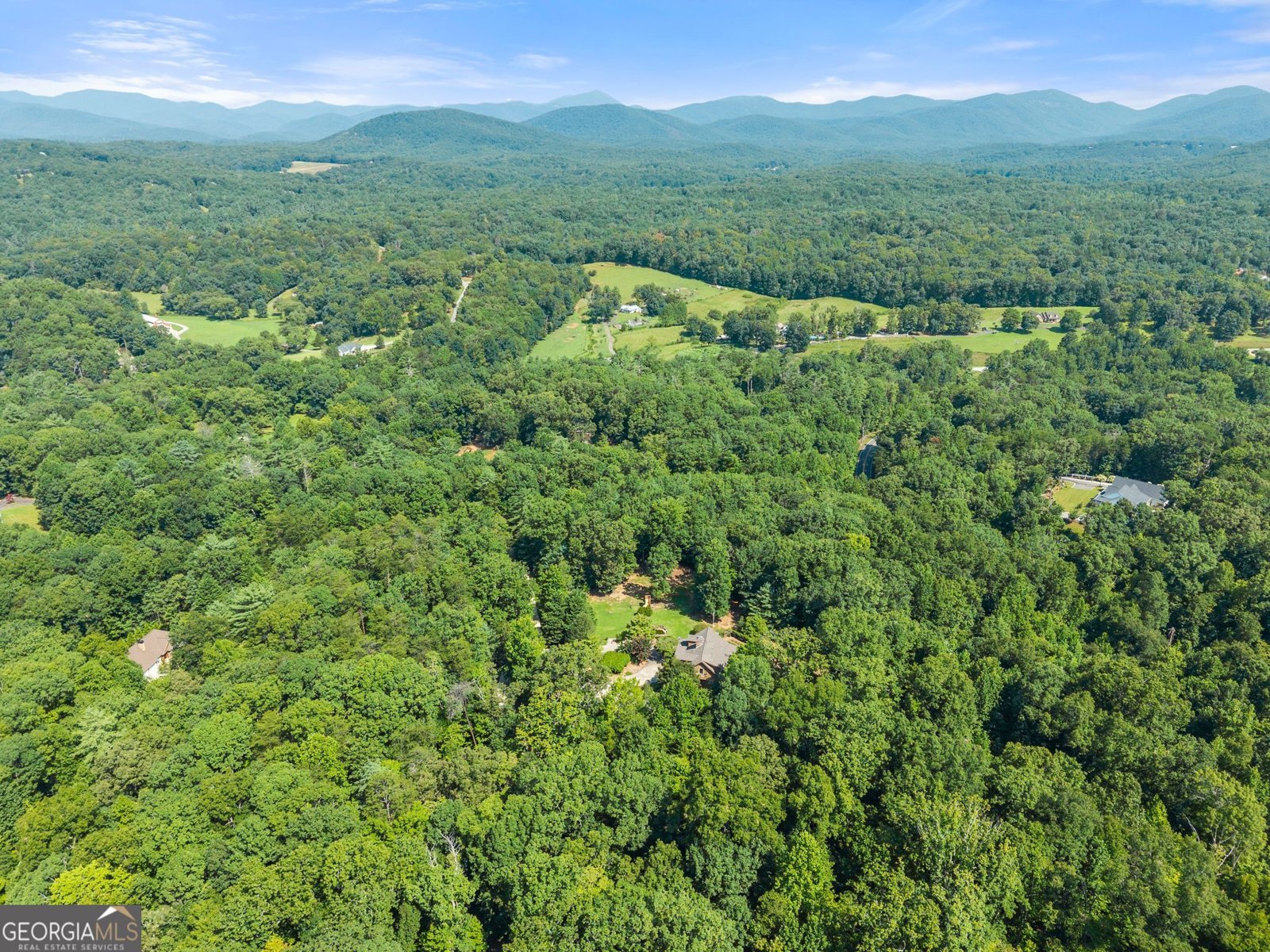 1401 Adair Mill Road Cleveland - Photo 82