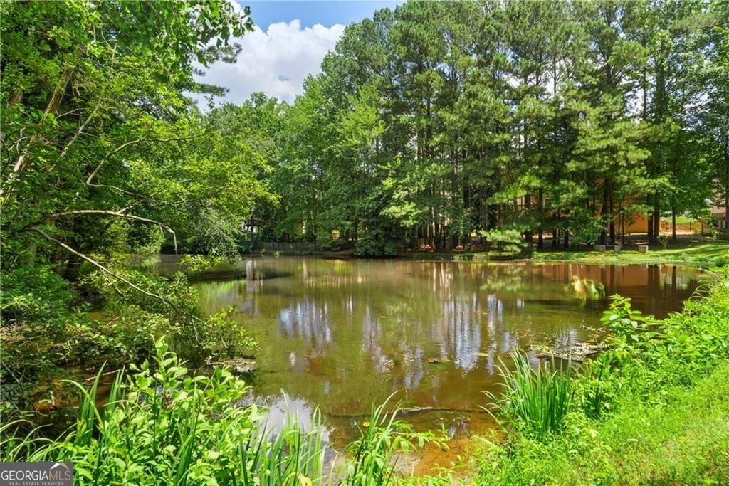 1365 Mayfield Manor Drive Alpharetta - Photo 57