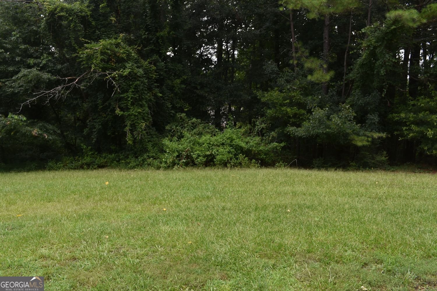 3040 Land Road Alpharetta - Photo 22