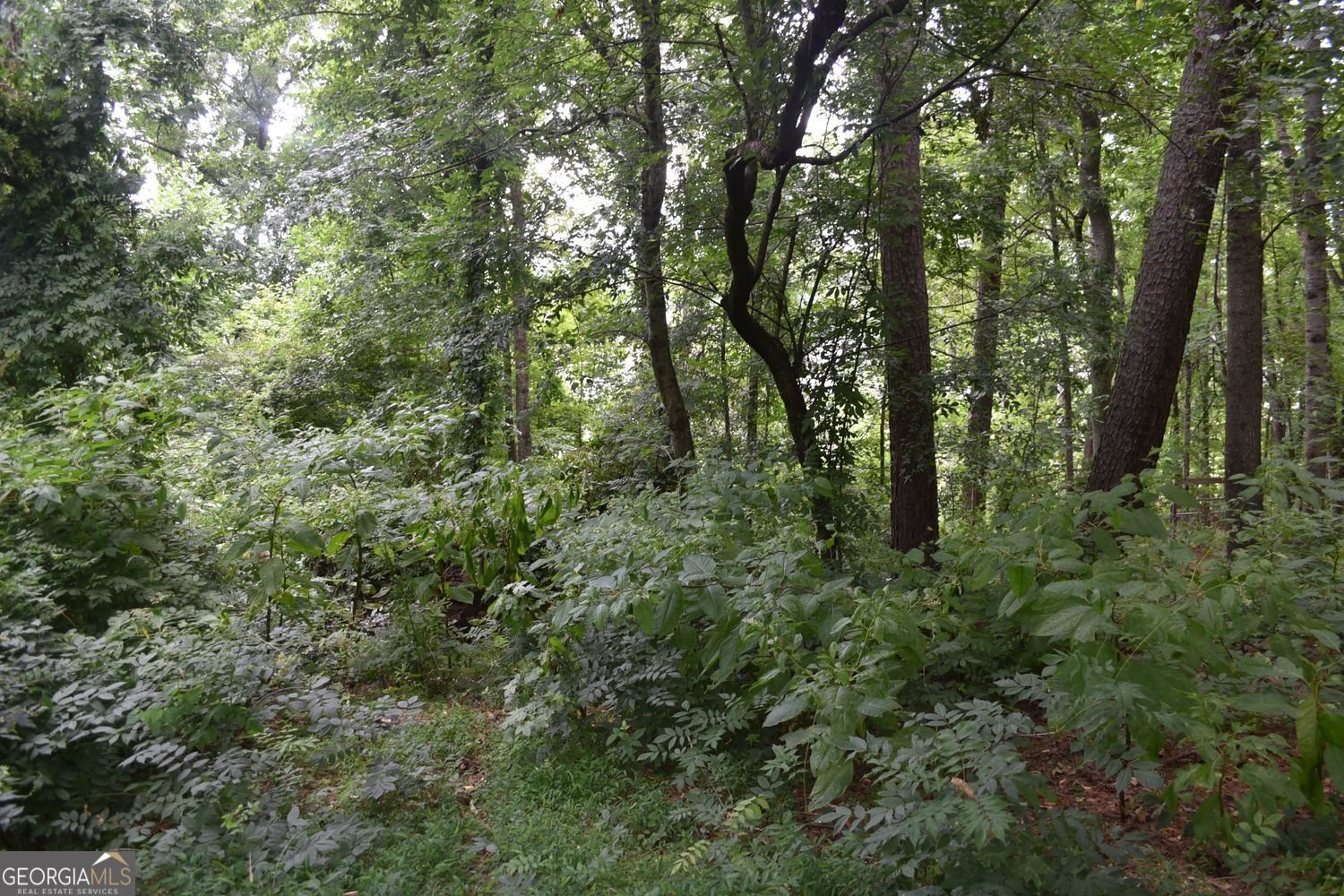 3040 Land Road Alpharetta - Photo 24