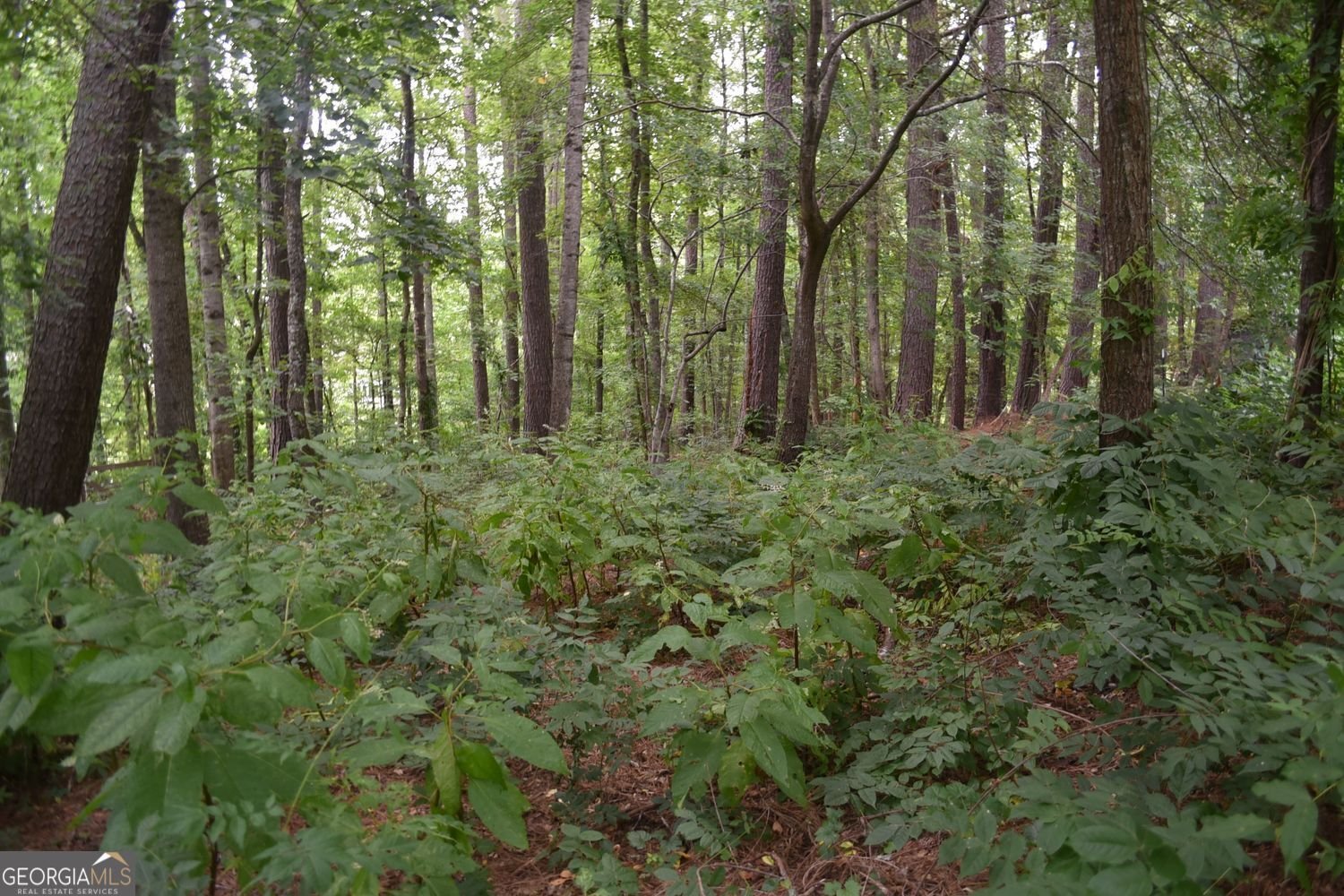 3040 Land Road Alpharetta - Photo 25