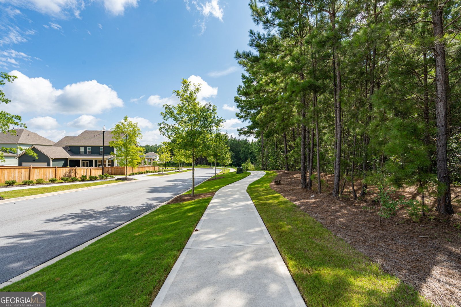 9938 Mancunian Way Douglasville - Photo 75