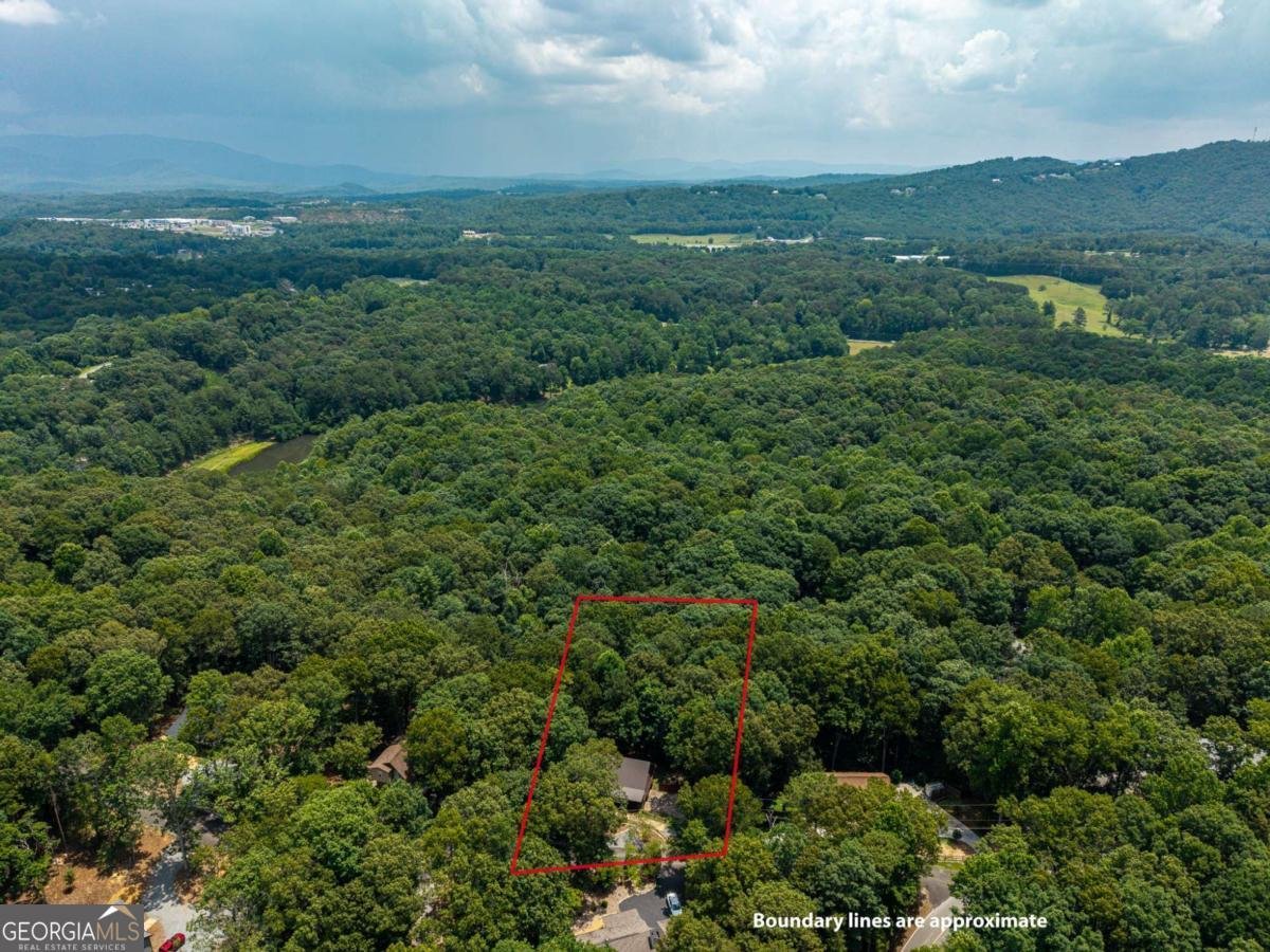 28 Morningside Court Ellijay - Photo 48