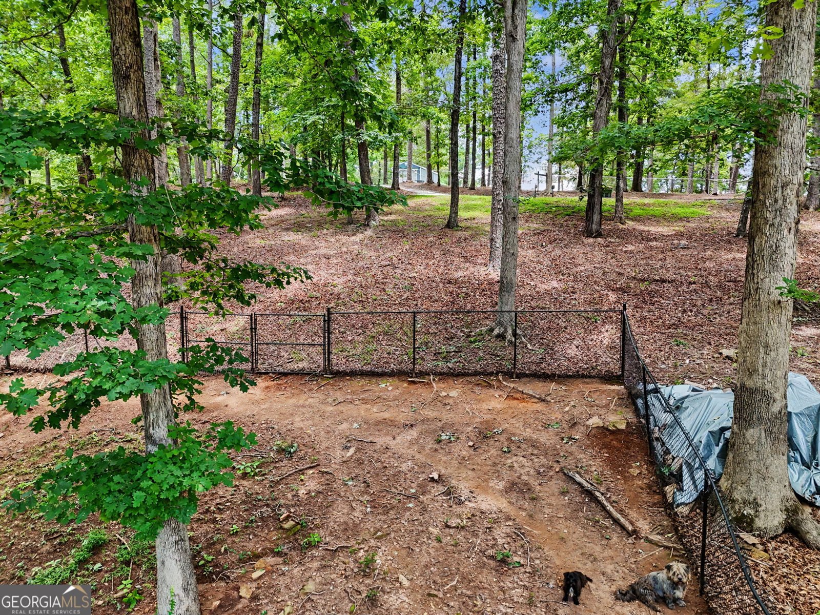 301 Cross Creek Trail Demorest - Photo 16
