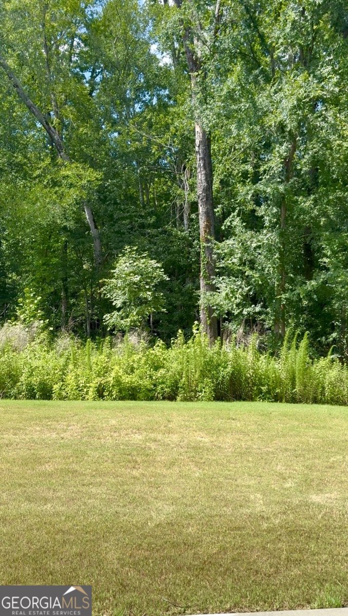 35 Buckingham Lane Hoschton - Photo 9