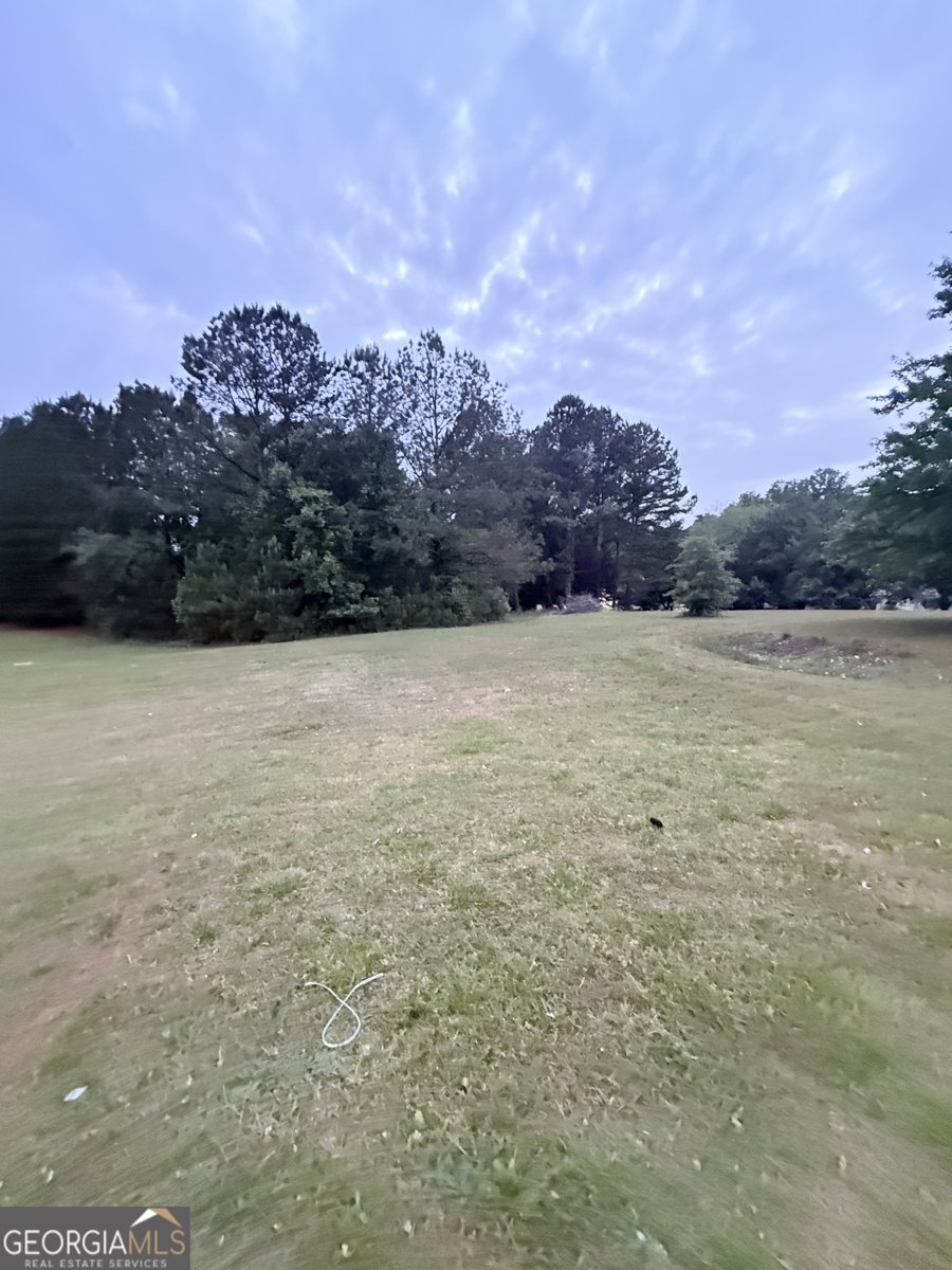 145 Windy Ridge Court Fayetteville - Photo 33