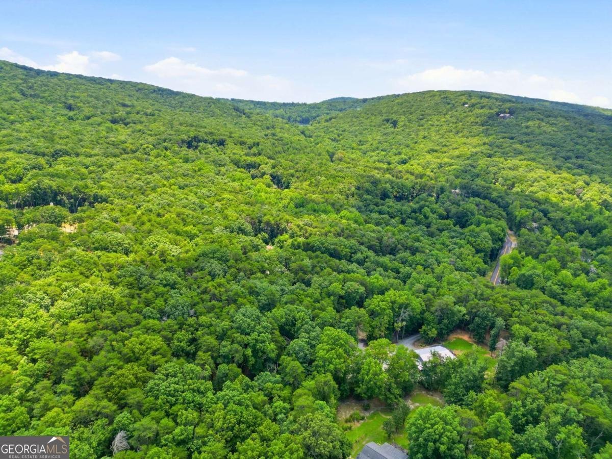 6100 Henderson Mountain Road Jasper - Photo 42