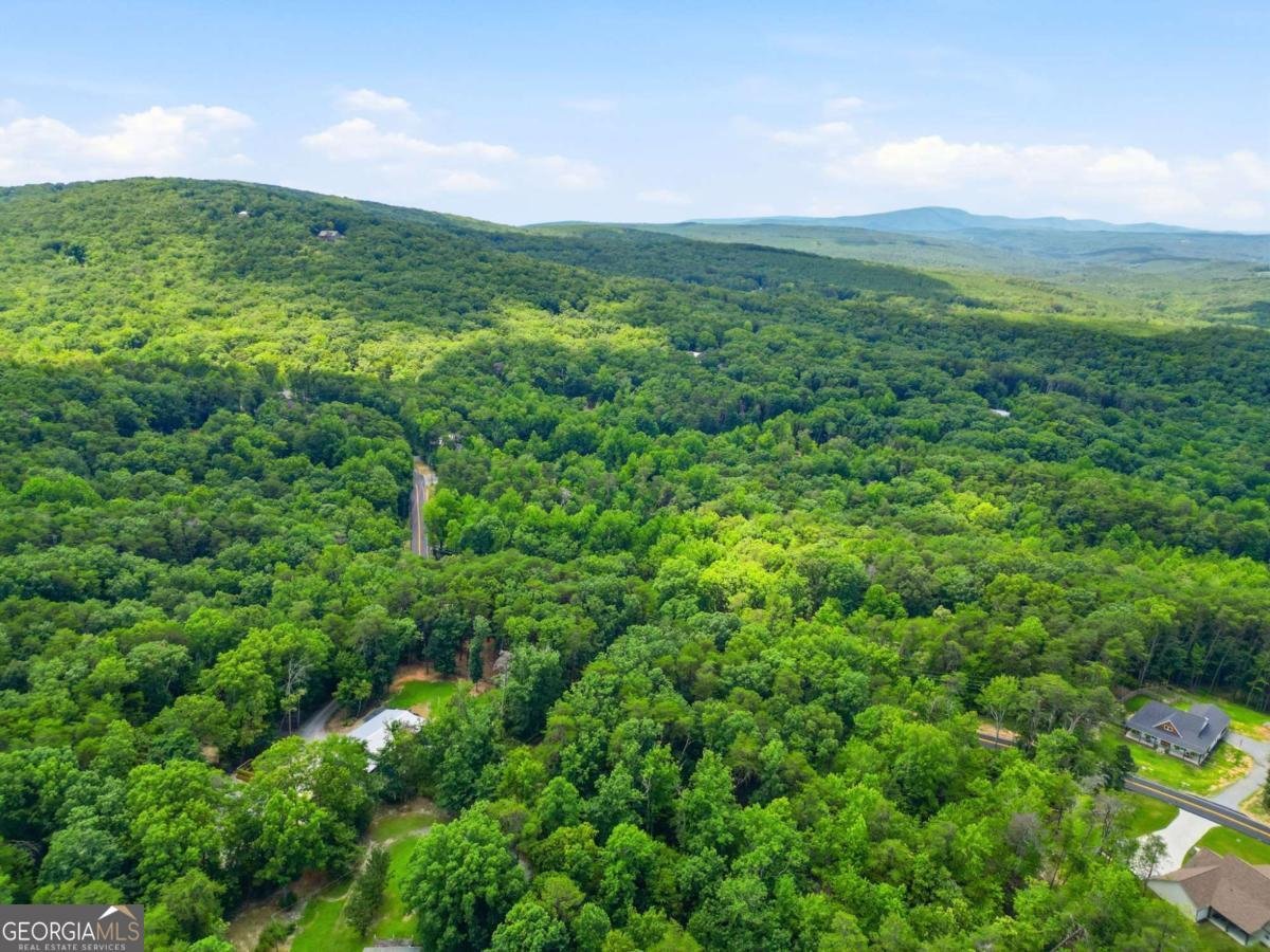 6100 Henderson Mountain Road Jasper - Photo 43