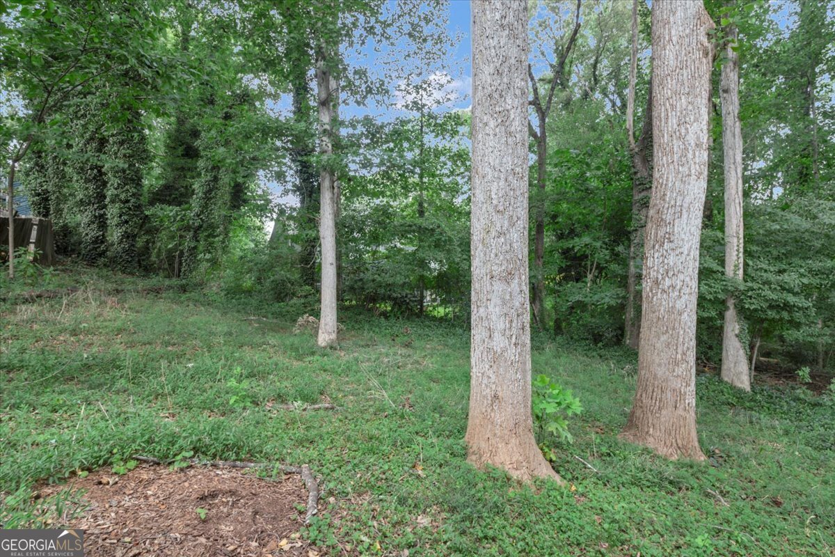 5065 Carole Place Stone Mountain - Photo 39