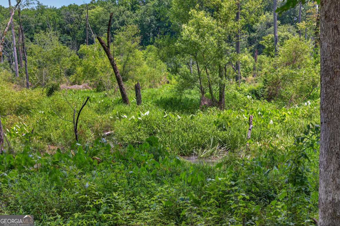 365 Nunnally Farm Road Monroe - Photo 100