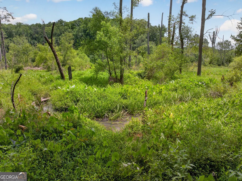365 Nunnally Farm Road Monroe - Photo 101