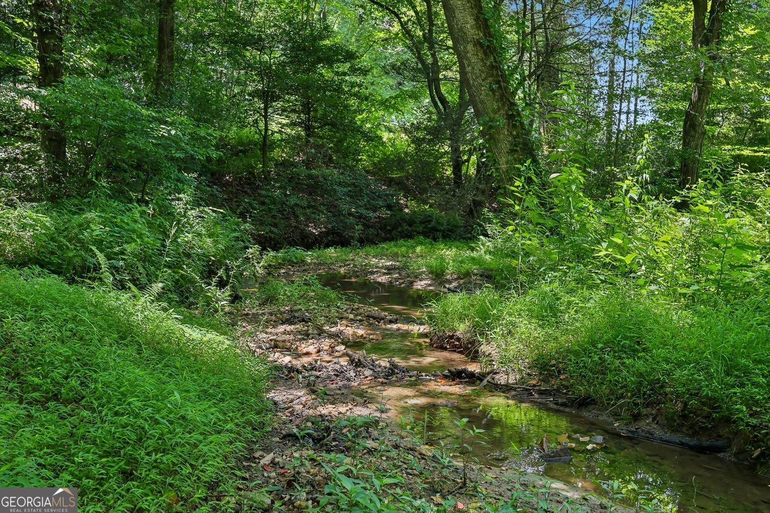4218 Roy Road Ellijay - Photo 71