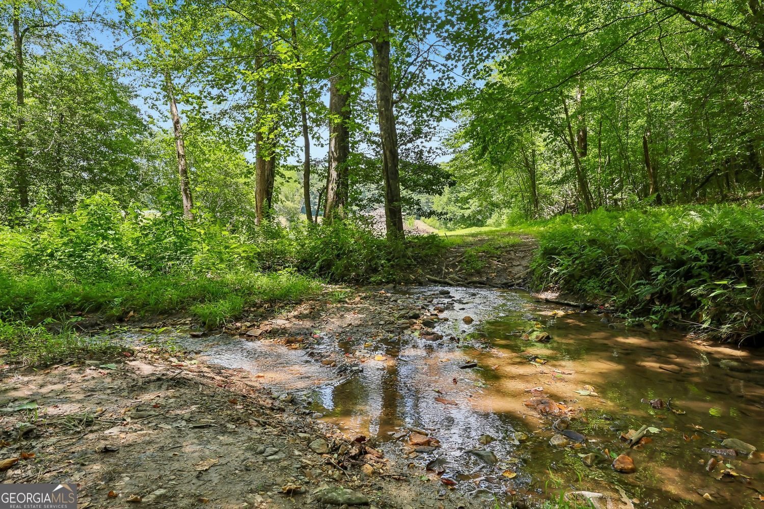 4218 Roy Road Ellijay - Photo 72