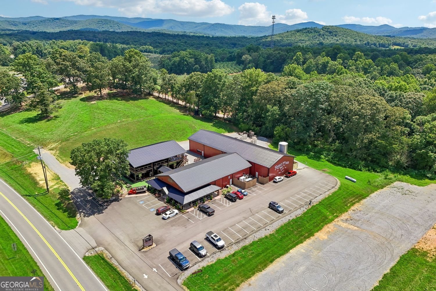 4218 Roy Road Ellijay - Photo 98