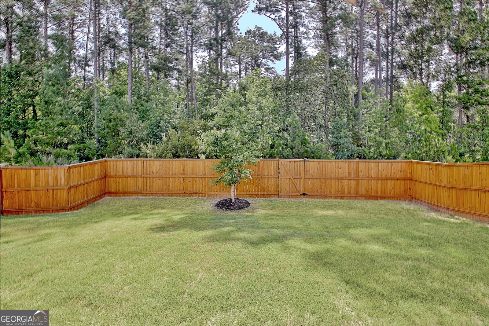 365 Caledonia Court Peachtree City - Photo 54
