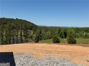 5364 Price Road Gainesville - Photo 60