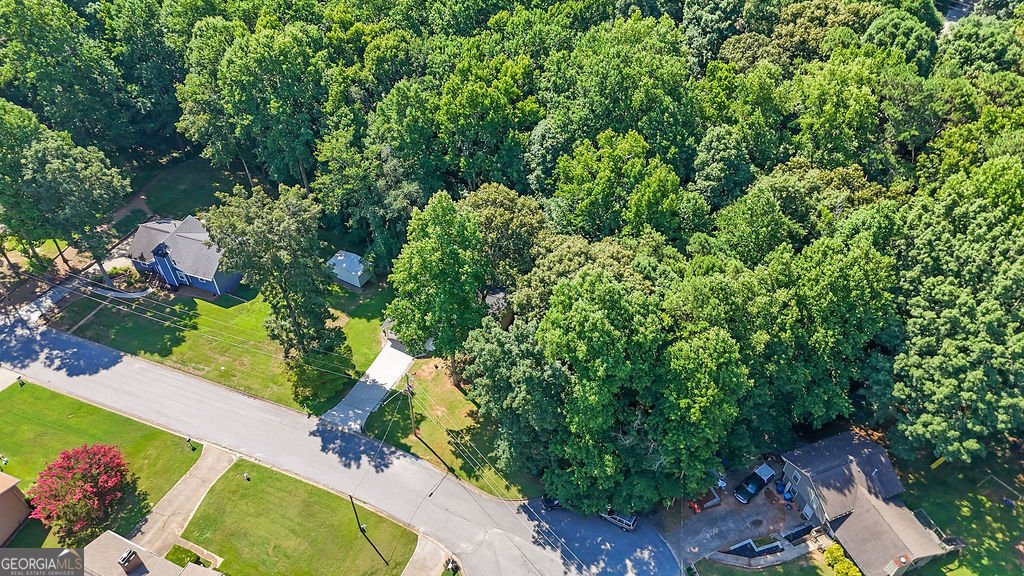 1850 Coachman Cove Snellville - Photo 33