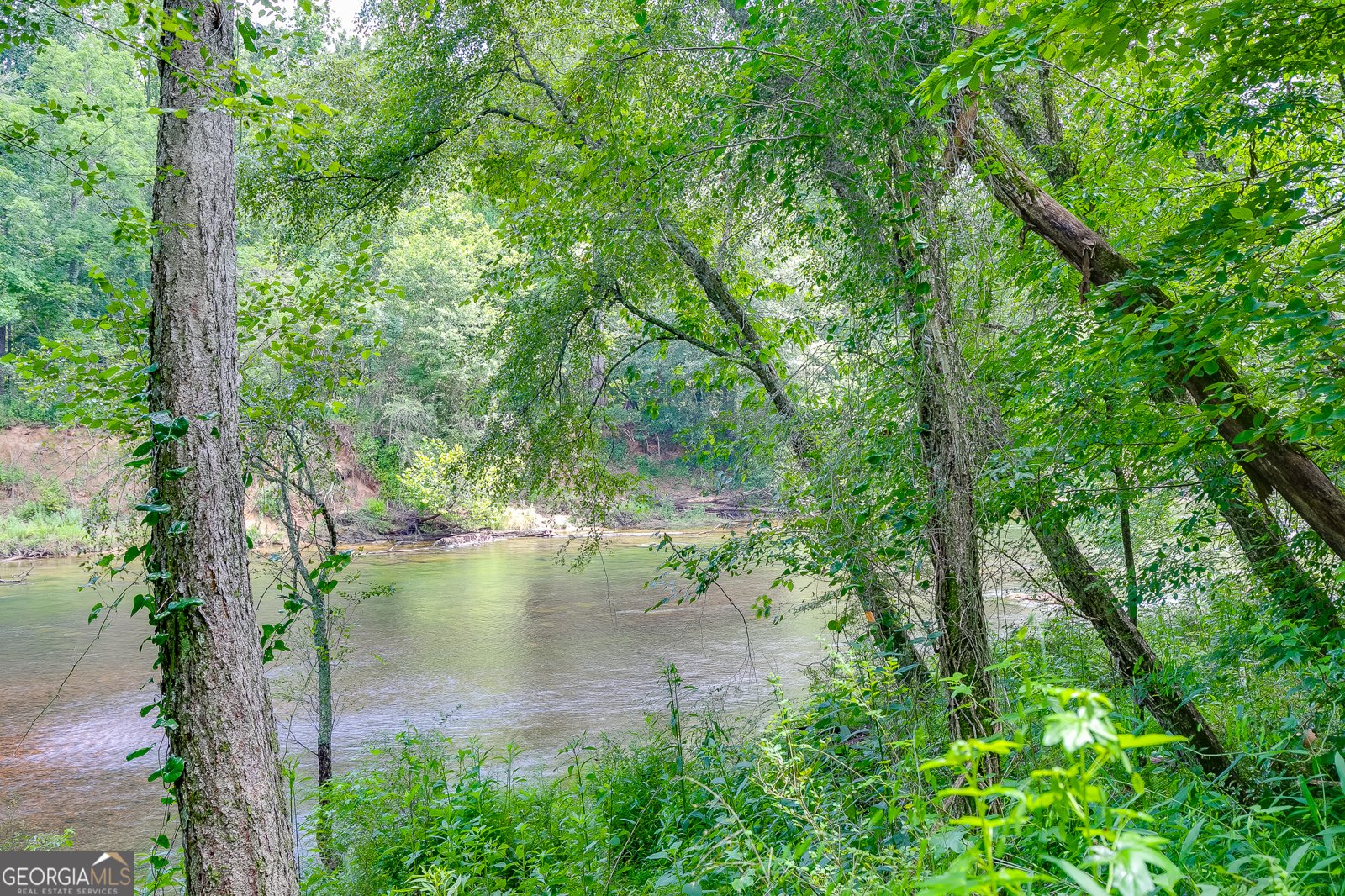 3940 River Run Court Cumming - Photo 44