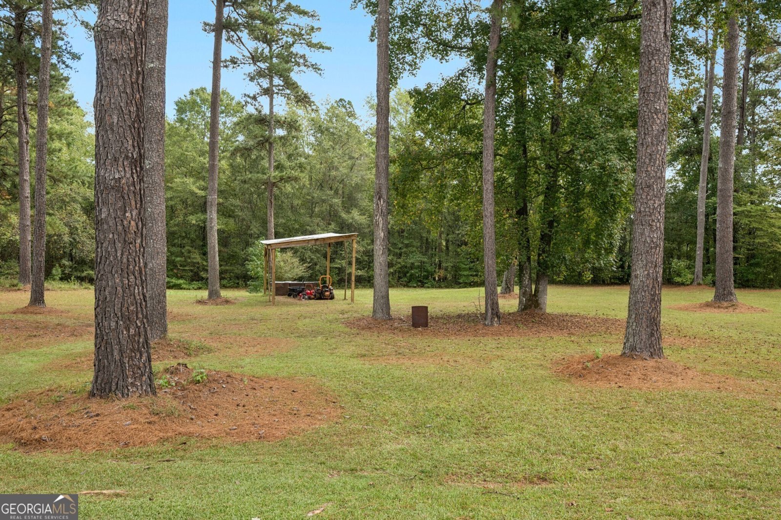 334 Luther Bailey Road Senoia - Photo 63