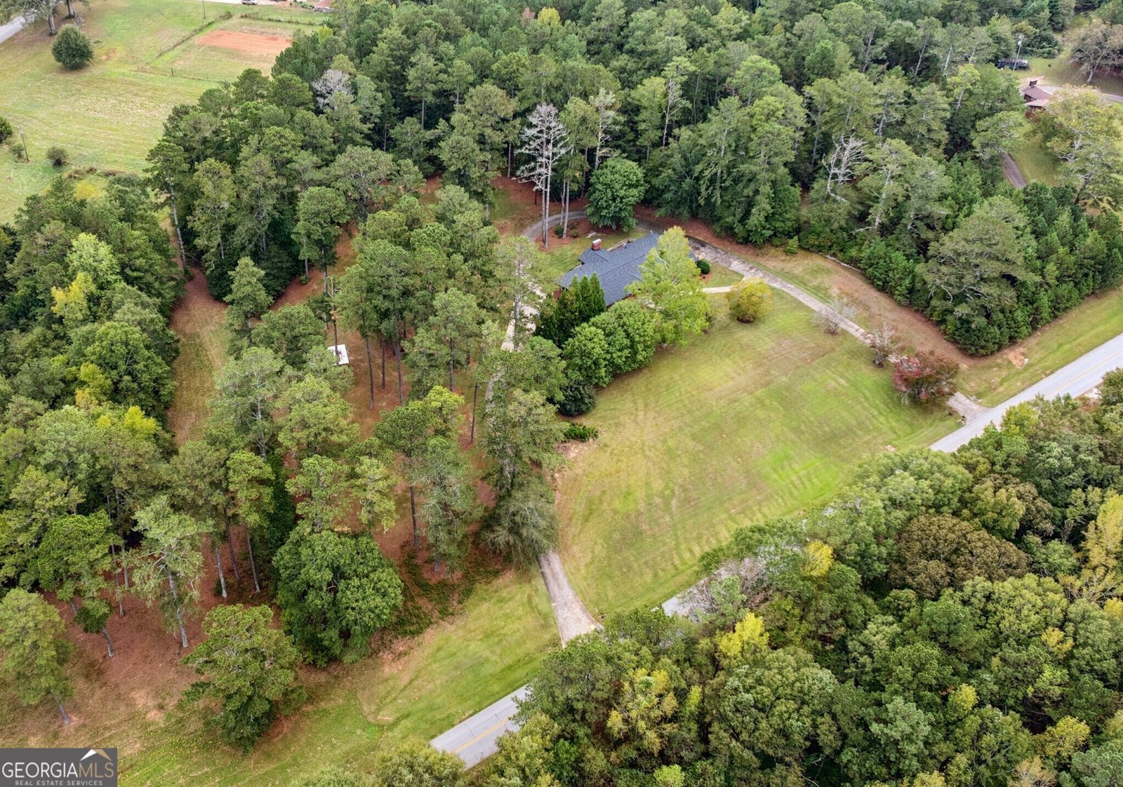 334 Luther Bailey Road Senoia - Photo 66