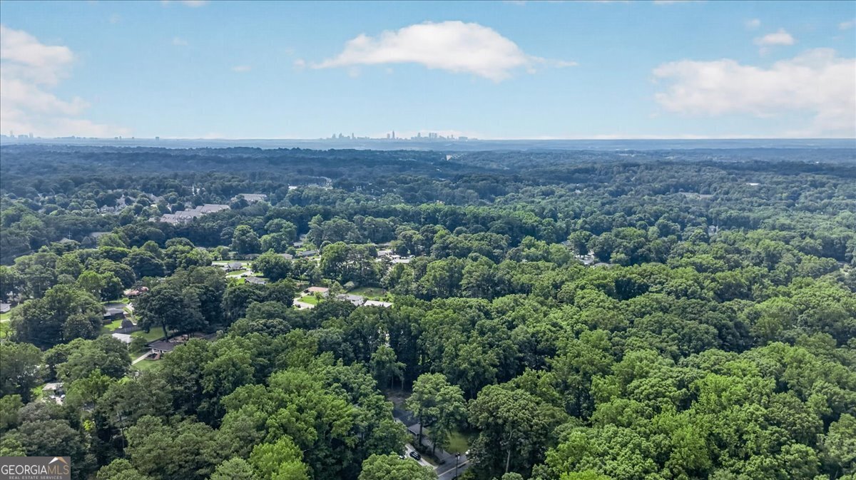 3619 Lake Drive Smyrna - Photo 48
