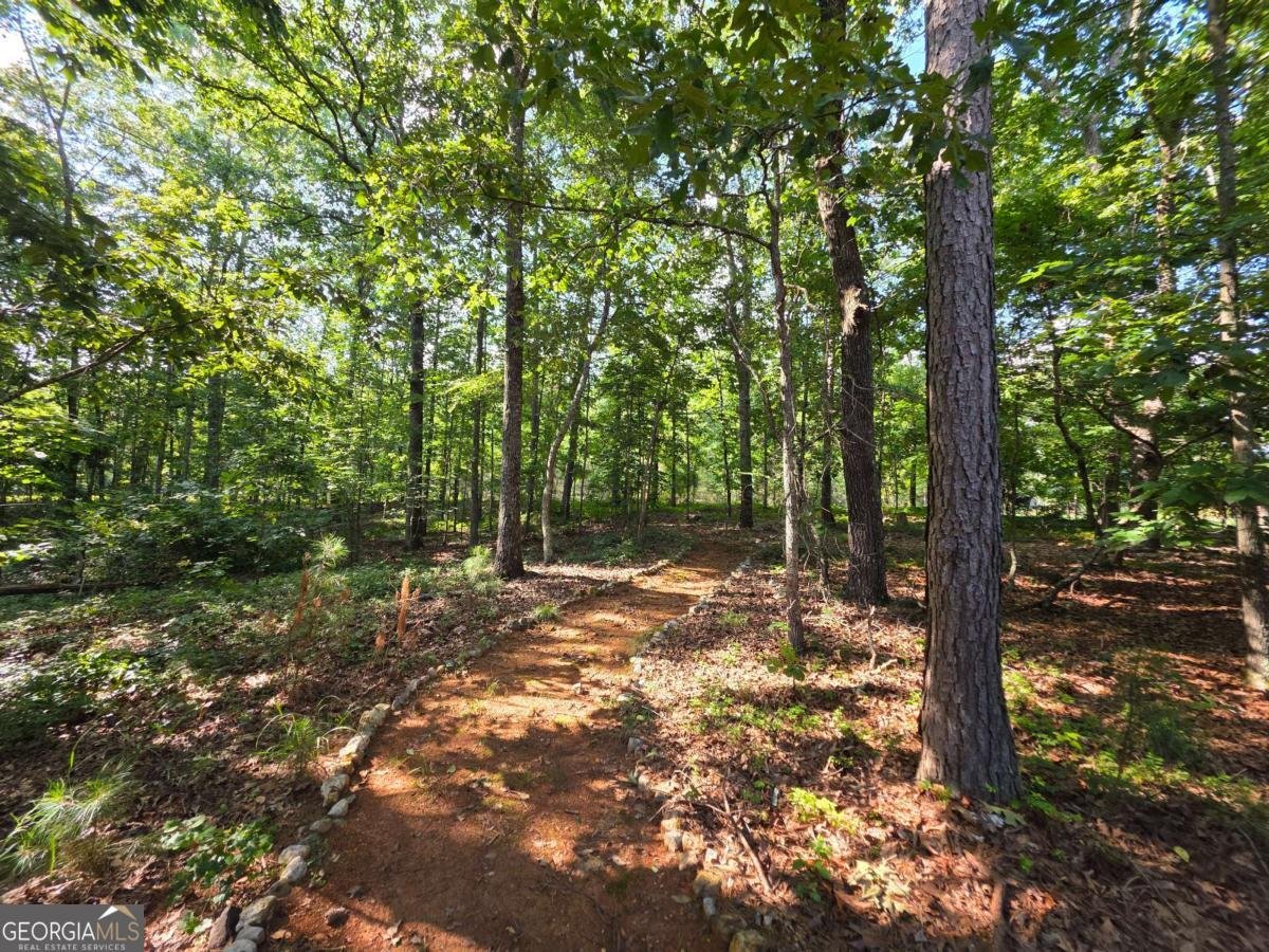 20 Blacksmith Lane Cartersville - Photo 45
