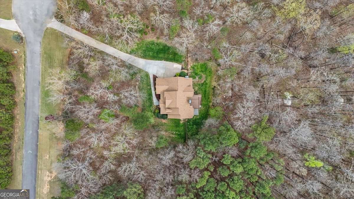 20 Blacksmith Lane Cartersville - Photo 46