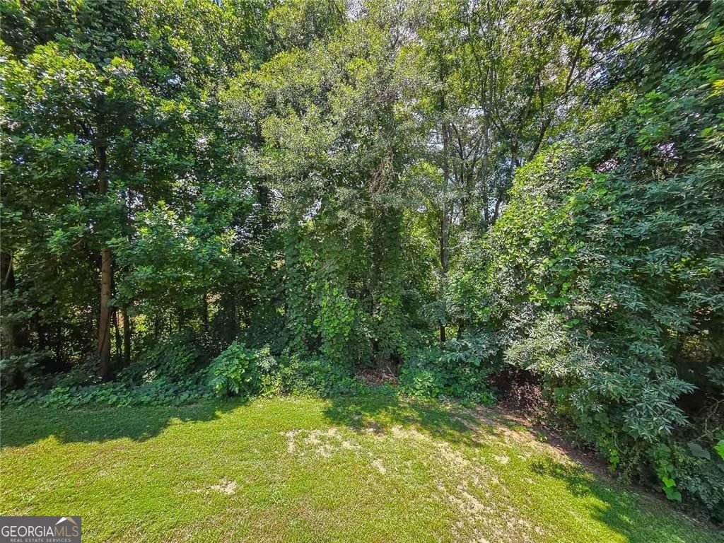 3482 Willow Meadow Lane Douglasville - Photo 27