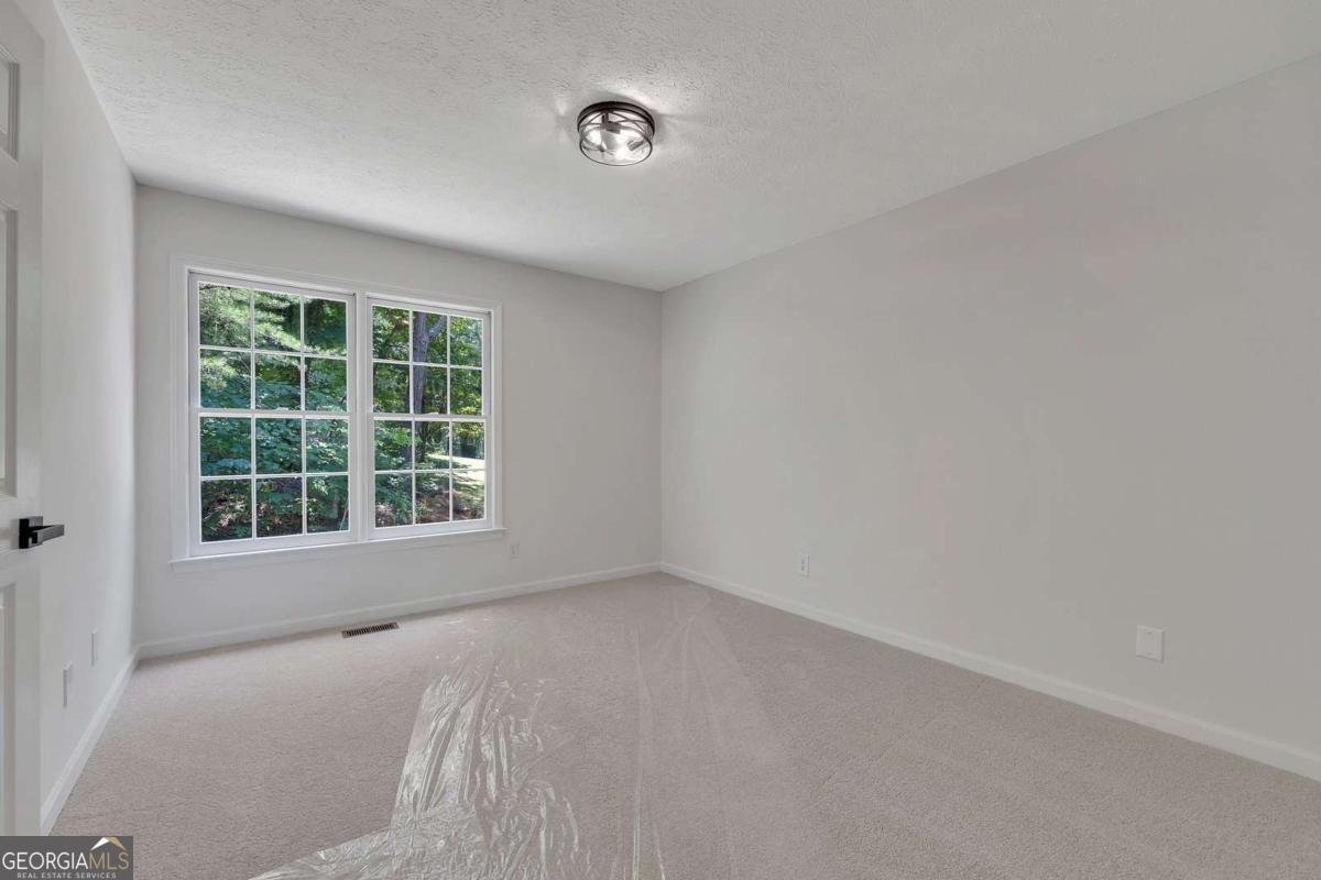 132 Springwater Trace Woodstock - Photo 19