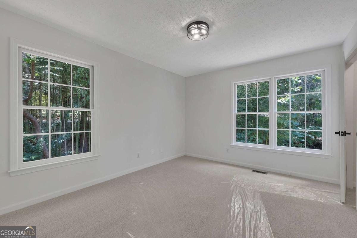 132 Springwater Trace Woodstock - Photo 22