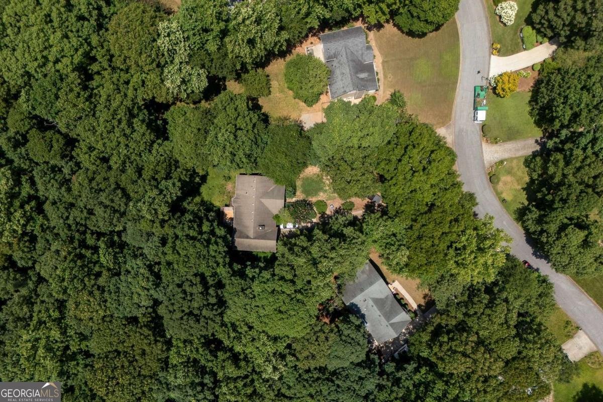 132 Springwater Trace Woodstock - Photo 48