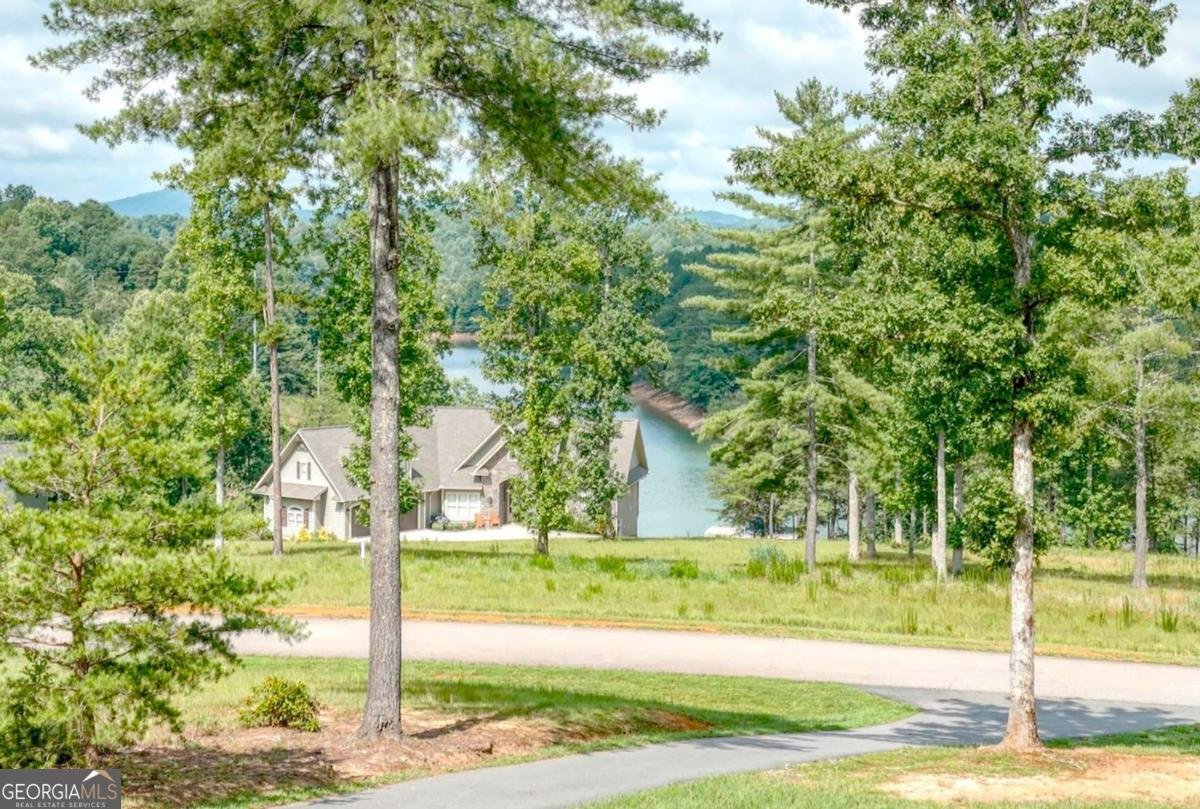 359 New Water Way Blairsville - Photo 19