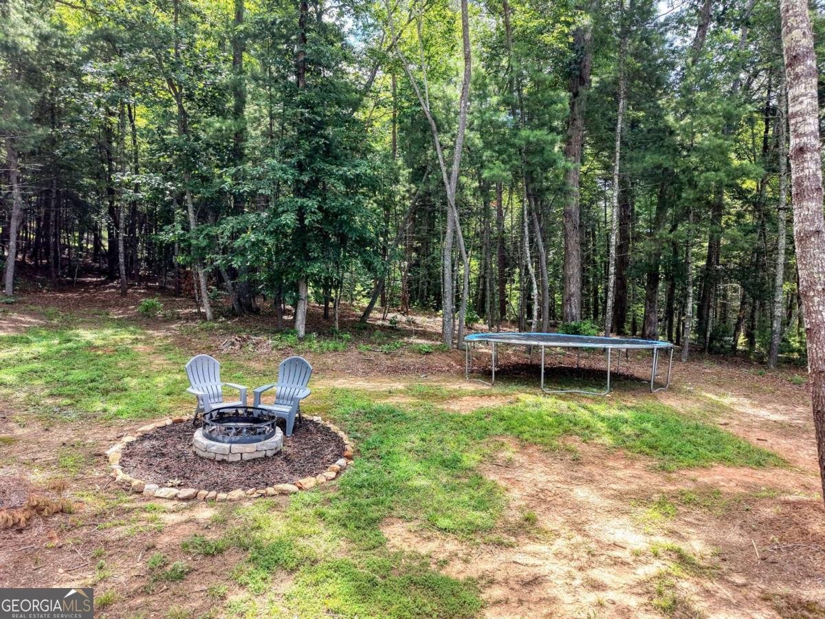 359 New Water Way Blairsville - Photo 61