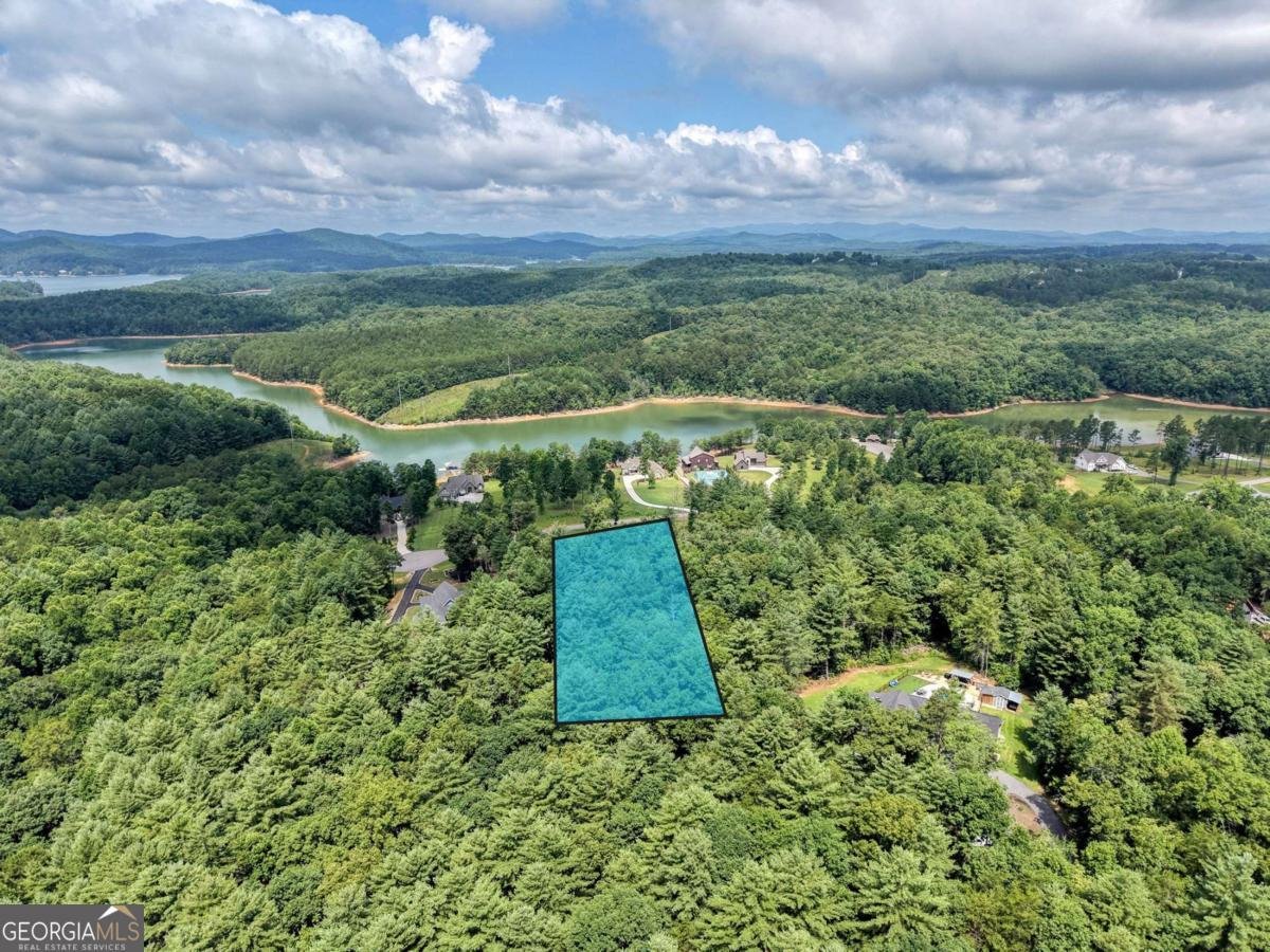 359 New Water Way Blairsville - Photo 63