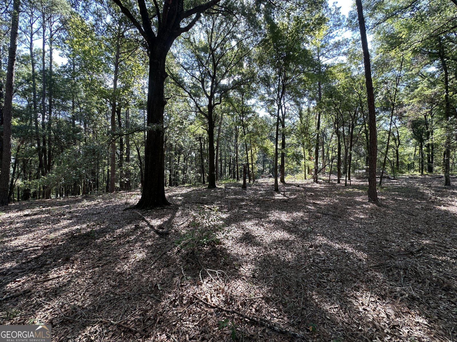 3852 Poor Robin Road Sylvania - Photo 18