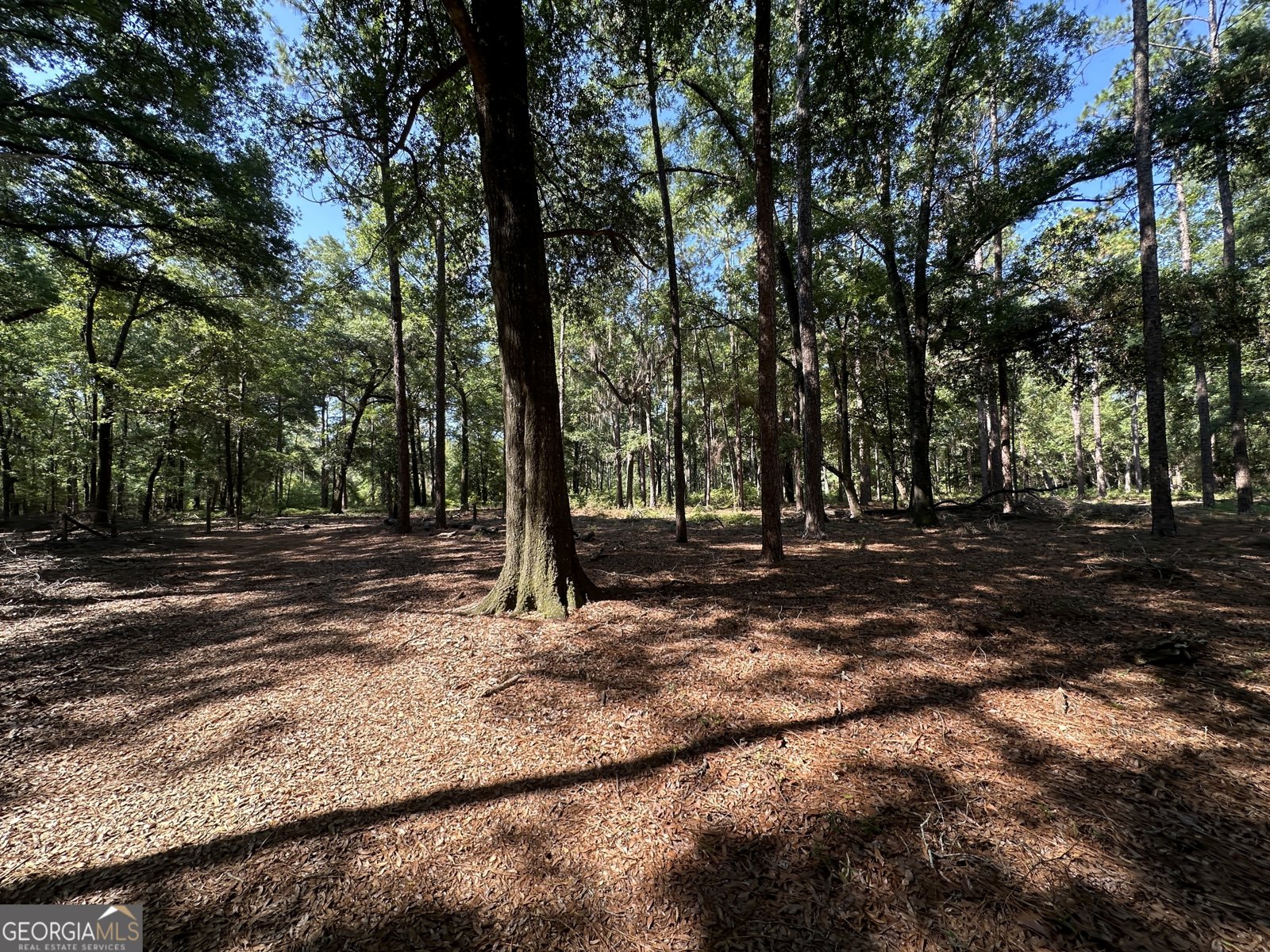 3852 Poor Robin Road Sylvania - Photo 19
