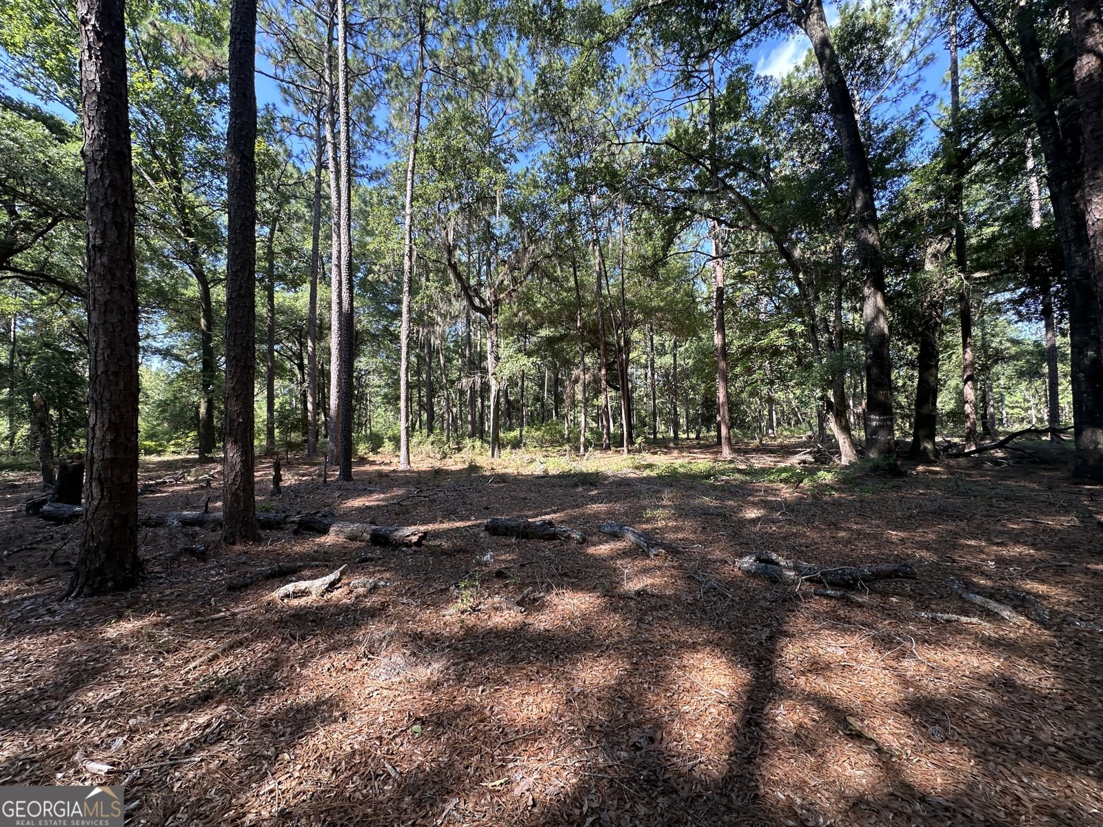 3852 Poor Robin Road Sylvania - Photo 20