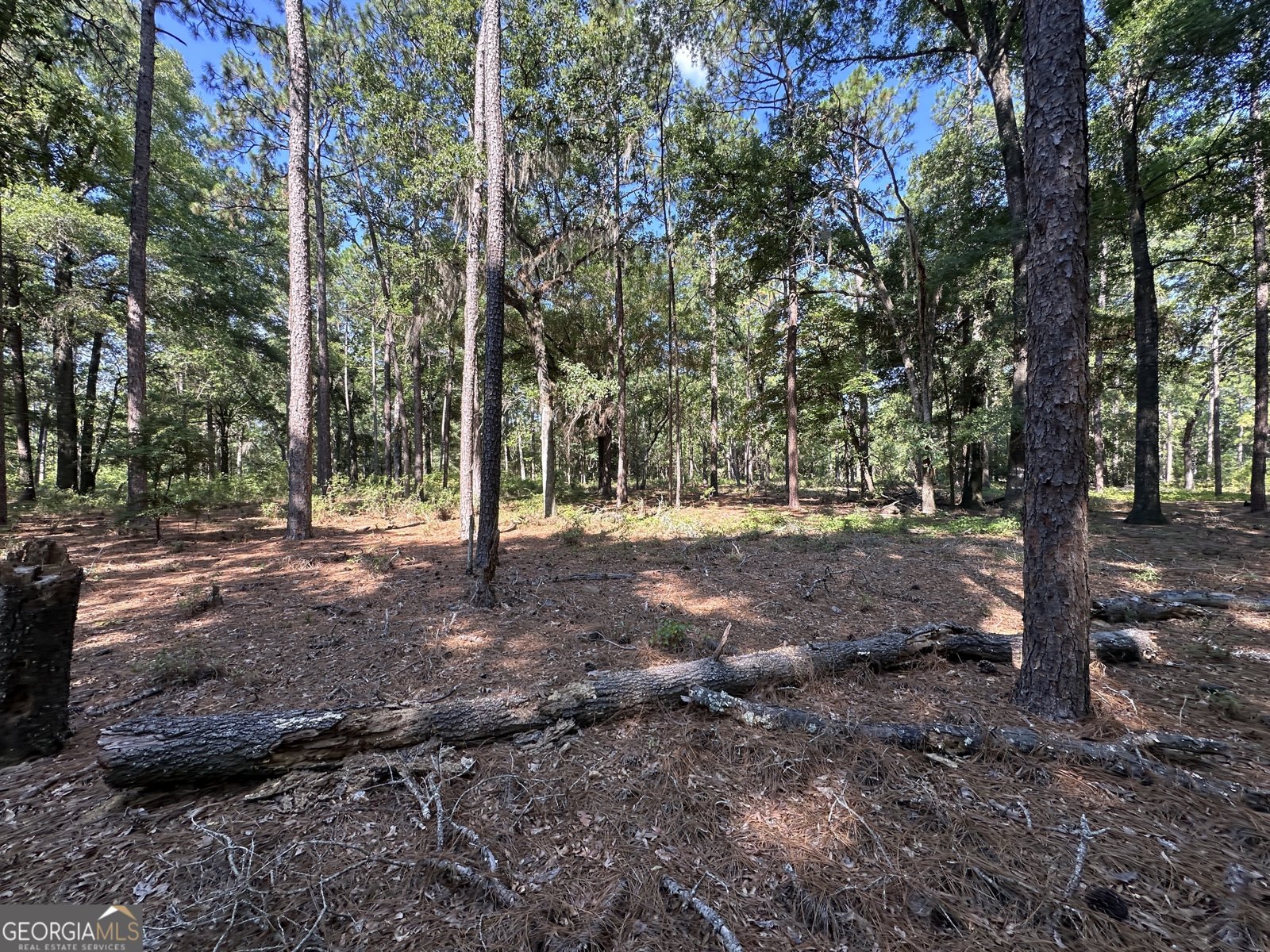 3852 Poor Robin Road Sylvania - Photo 24