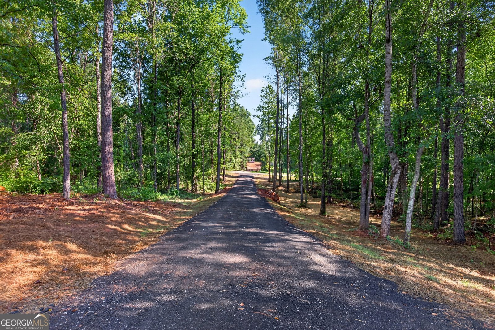 242 Glavine Street Greenville - Photo 11