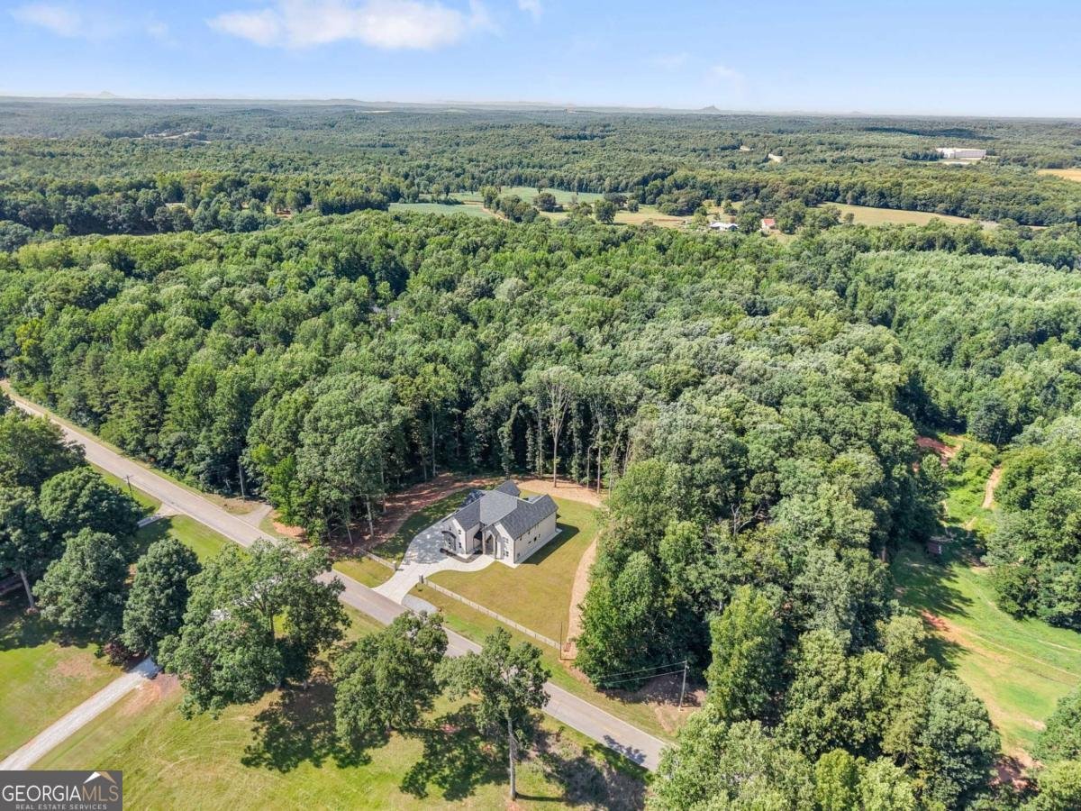333 Sims Bridge Rd Lot 1 Commerce - Photo 45