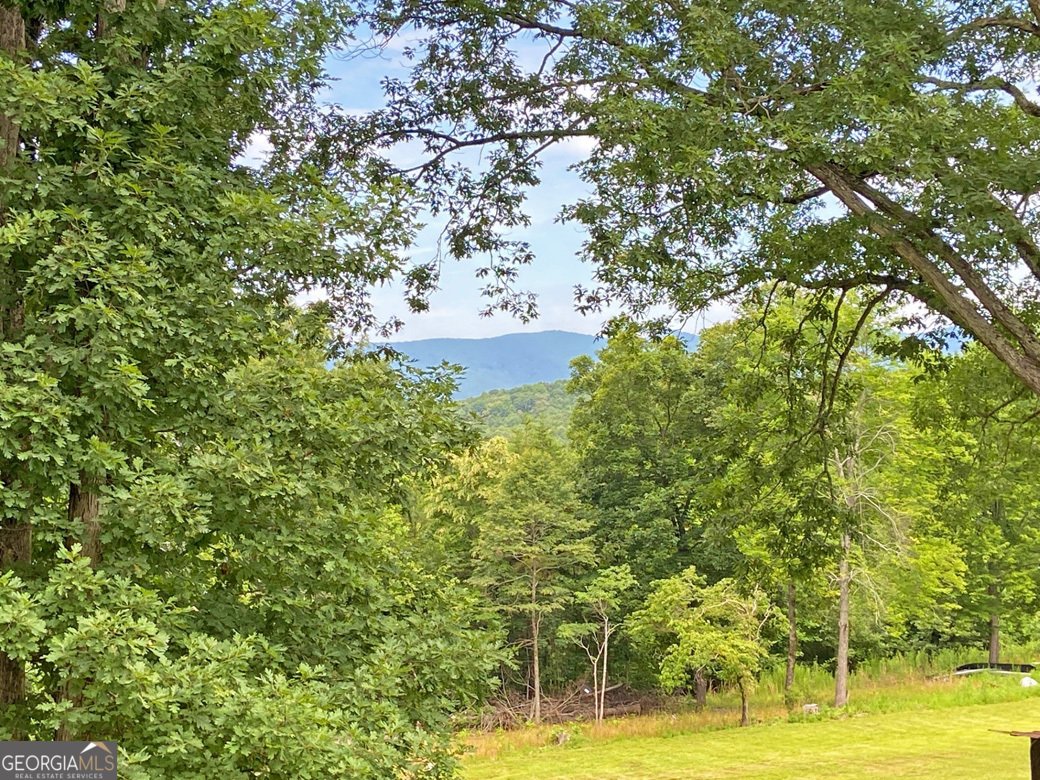 7089 Highway 19 Dahlonega - Photo 12