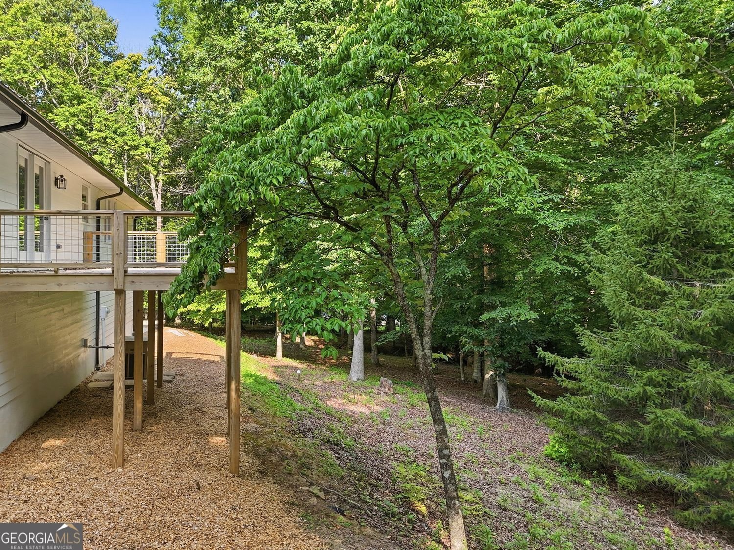 627 Ammons Drive Waleska - Photo 52