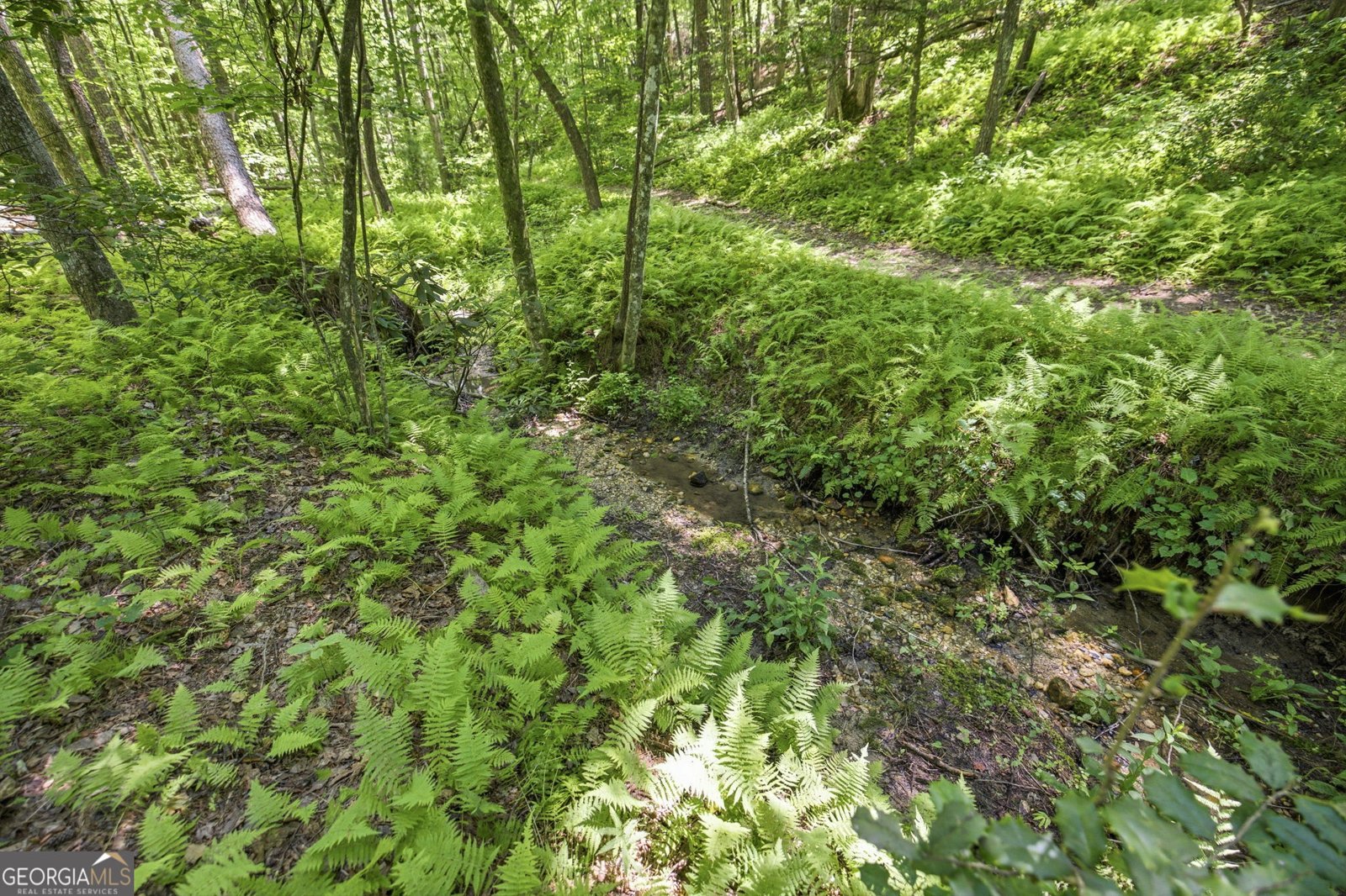 80 Windchase Lane Sautee Nacoochee - Photo 37