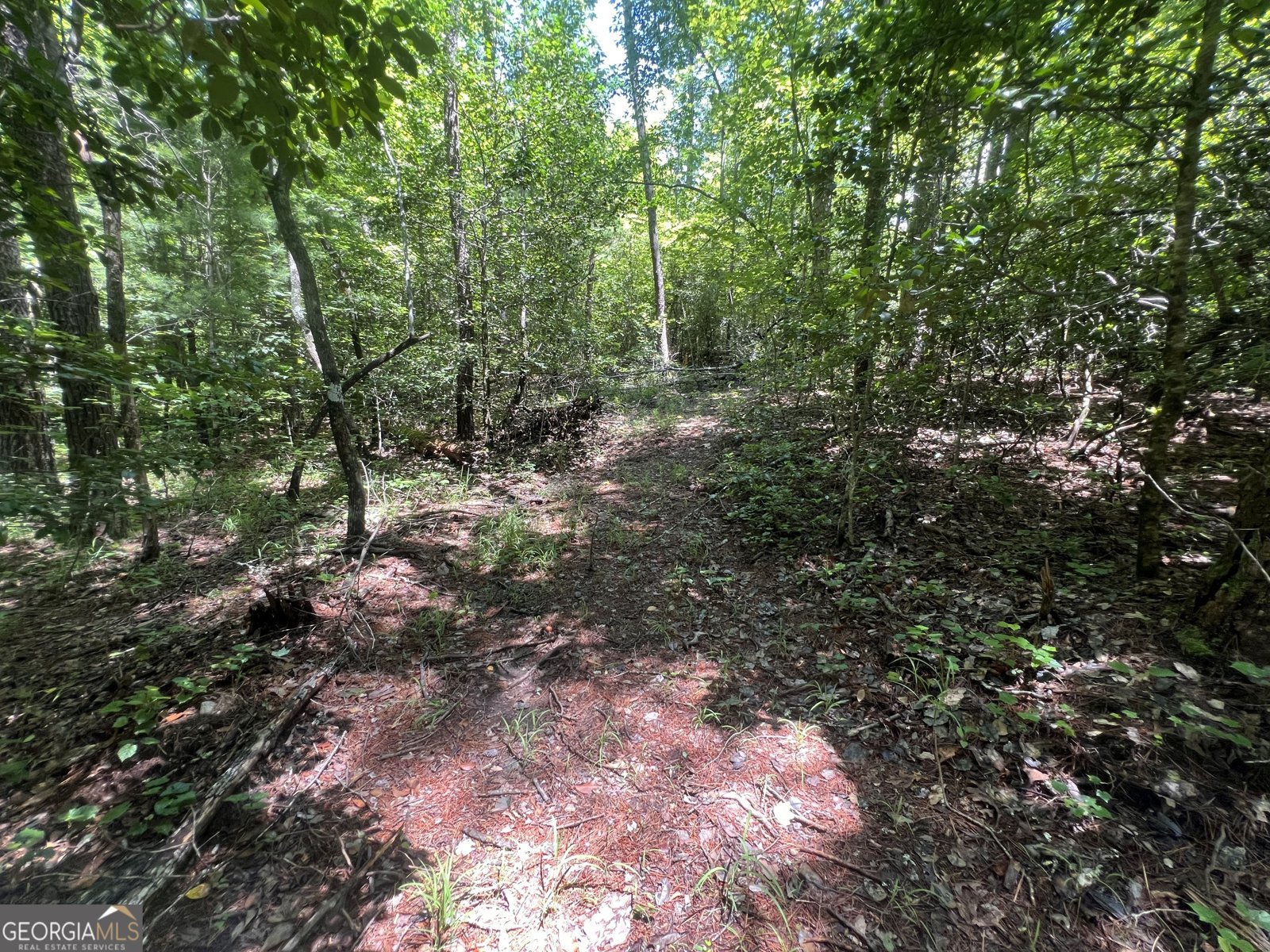 80 Windchase Lane Sautee Nacoochee - Photo 46