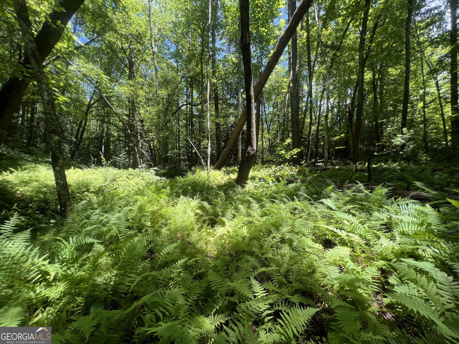 80 Windchase Lane Sautee Nacoochee - Photo 47
