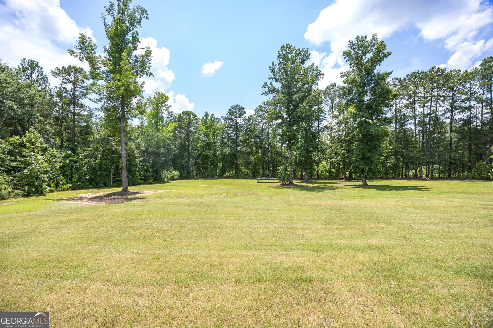 1187 Josey Road Forsyth - Photo 33