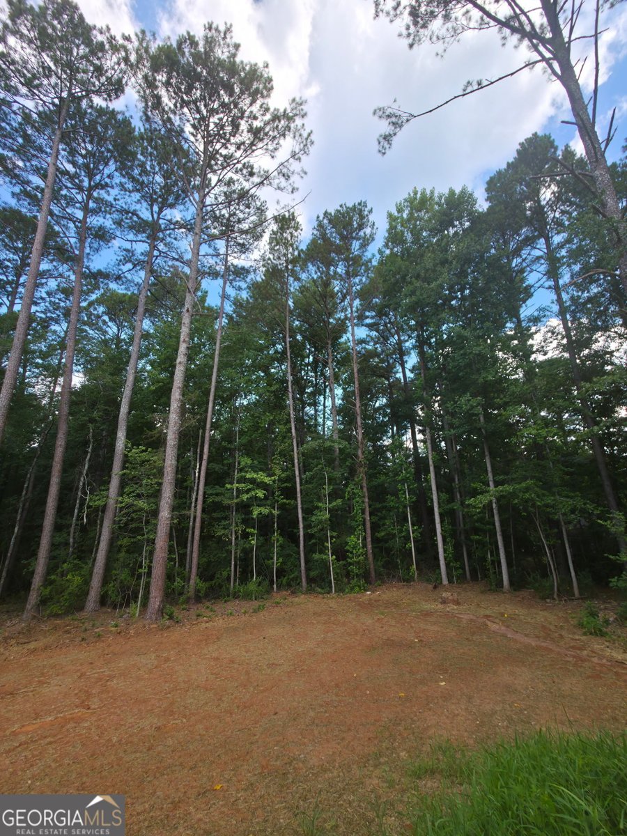 117 Dove Valley Lane Athens - Photo 19