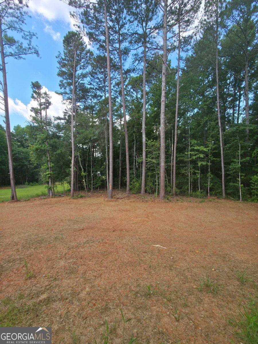 117 Dove Valley Lane Athens - Photo 20